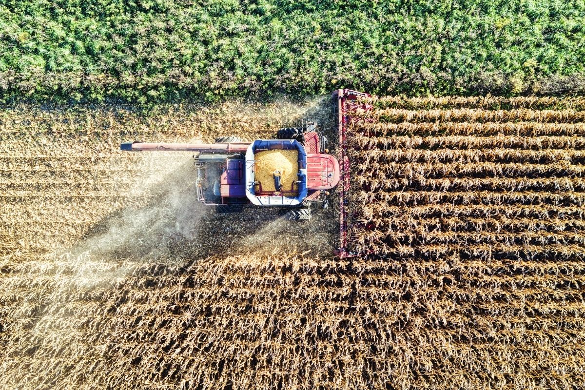 İngiltere tarımında iklim krizi kaybı 800 milyon sterlini aştı