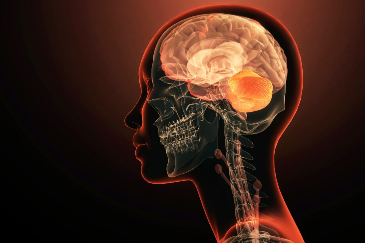 Almanya’daki araştırmacılar, tek bir genin erken başlangıçlı şizofreni ve diğer psikiyatrik bozukluklarda rol oynayabileceğini ortaya koydu