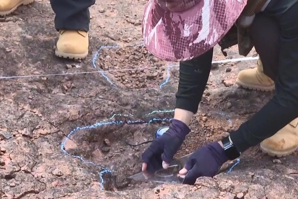 Çin'de yaklaşık 200 milyon yıl öncesine ait dinozor ayak izleri bulundu