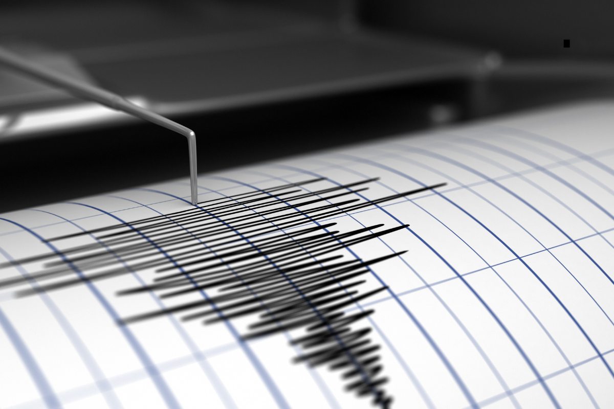 Van 4.6'lık depremle sallandı
