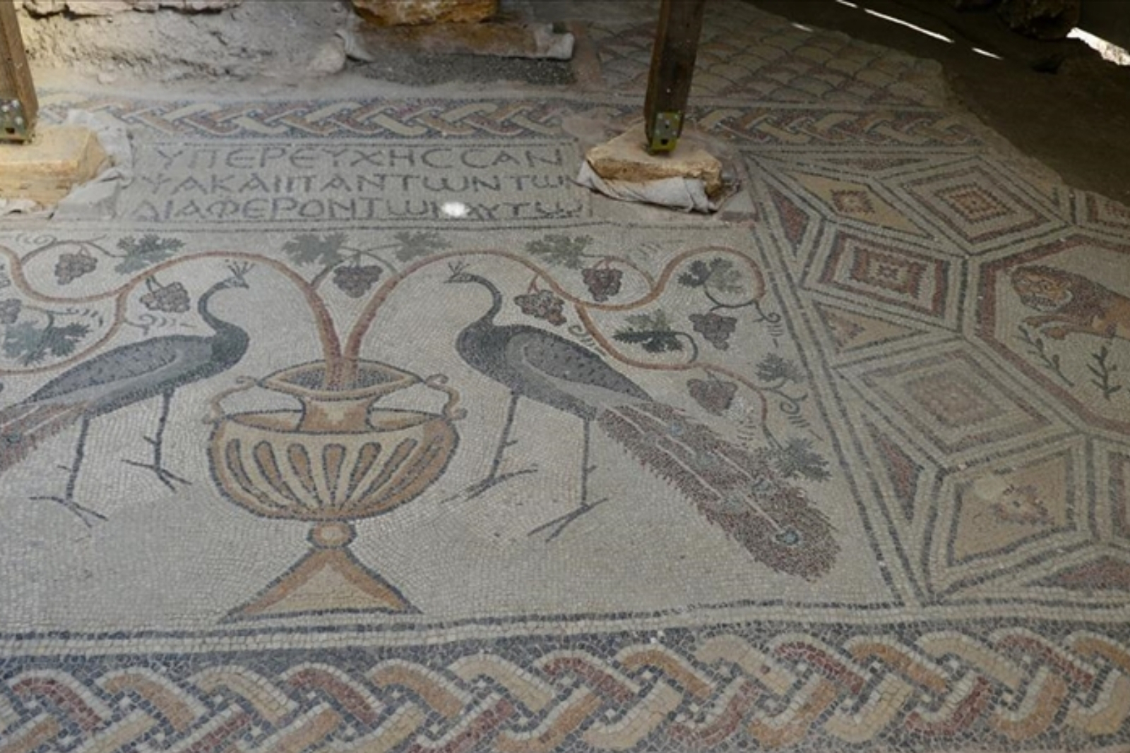 Hadrianopolis Antik Kenti'nde zemini mozaiklerle süslenmiş kabul salonu gün yüzüne çıkarıldı