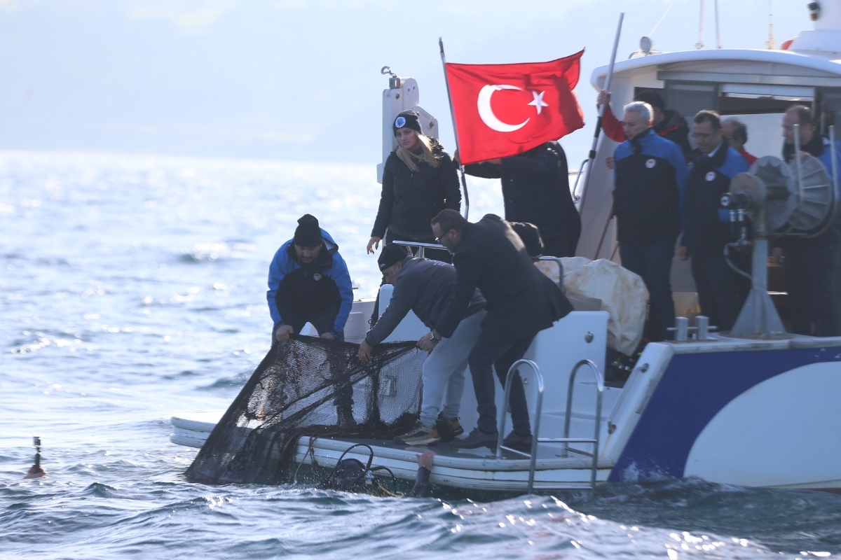 Türkiye’de yürütülen temizlik çalışmalarıyla 11 yılda 2,9 milyon metrekare hayalet ağ denizlerden çıkarıldı