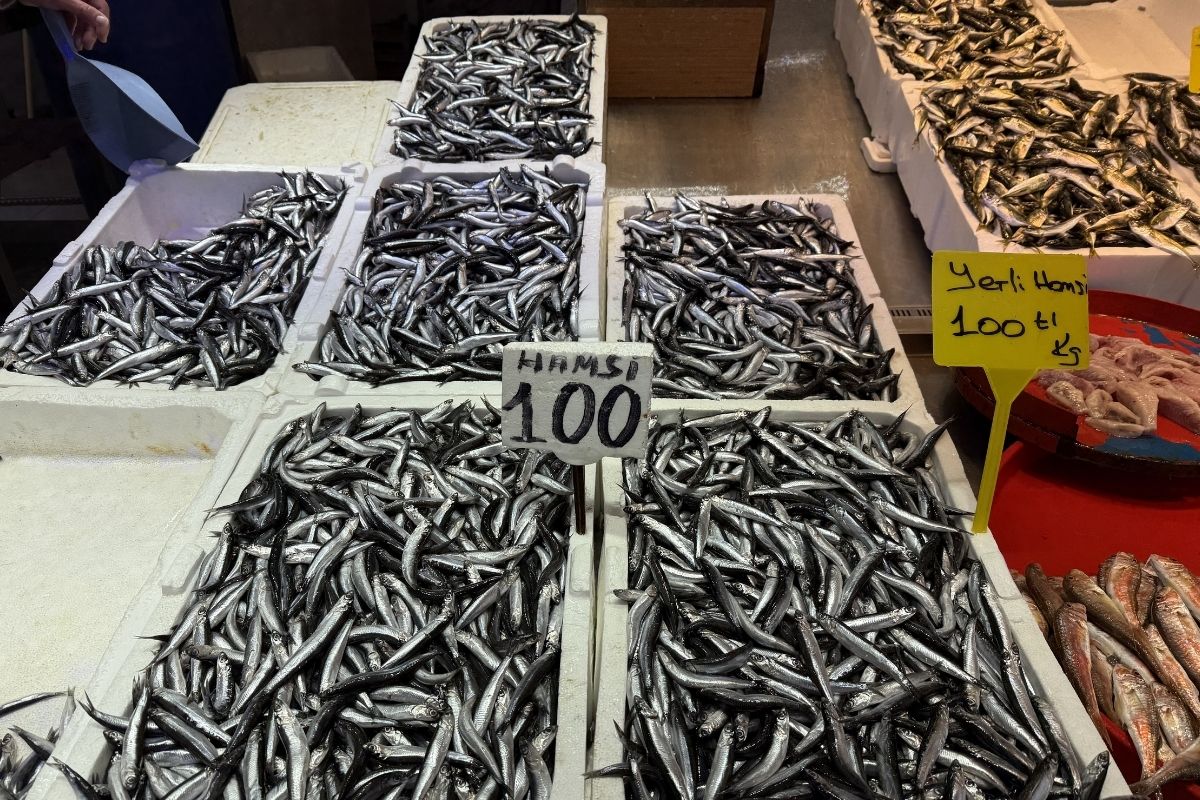 Türk hamsisine Avrupa’dan yoğun talep: 11 ayda 3 bin 327 ton ihracat, 14,4 milyon dolarlık gelir