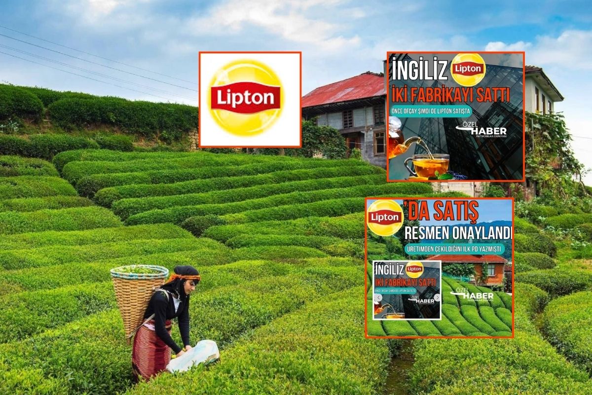 İlk kez PD duyurmuştu, Lipton'un Türkiye'deki üretim fabrikalarının Öz-Gür Çay Sanayi'ye devri tamamlandı