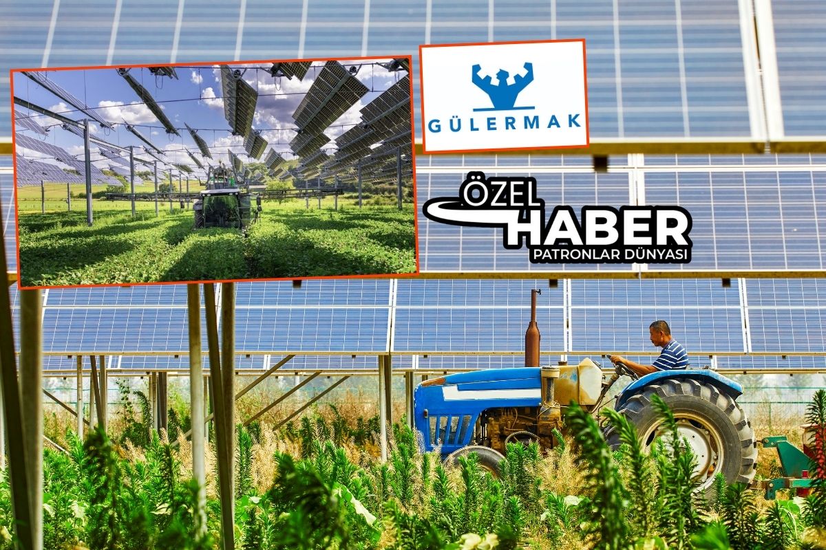 Elektrik depolama tesisi izni olan Corshellach Energy'yi ekimde satın alan inşaat şirketi Gülermak, şimdi de Alman güneş enerji şirketini aldı