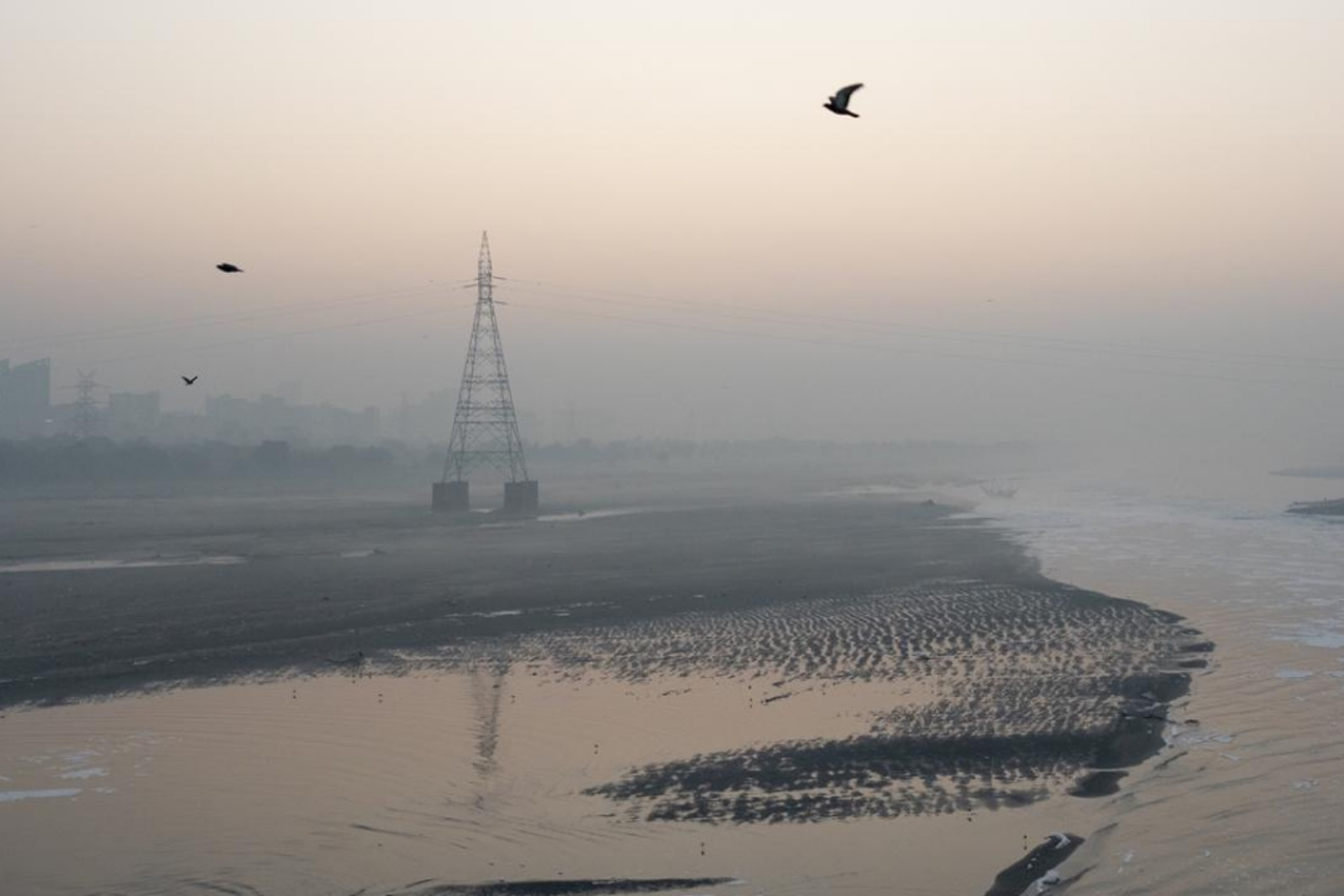 Hindistan'da hava kirliliğinden dolayı uçaklar havalanamadı