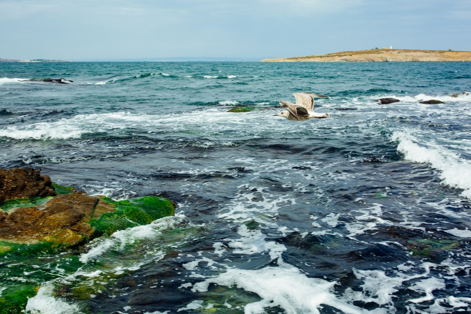 Karadeniz'de büyük tehlike, 12 santim yükselmede 160 milyon insanın etkilenmesi söz konusu