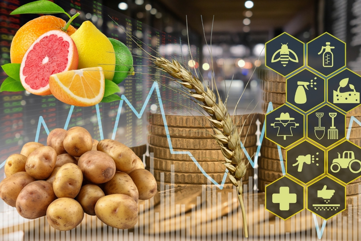 Düşük maliyet ve agresif fiyat politikasıyla Mısır, yaş meyve sebze ihracatında Türkiye’nin karşısına çıktı