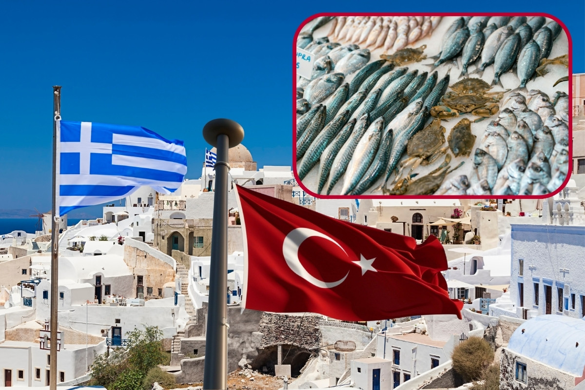 Selanik raporu ortaya koydu, Yunanistan’da tüketilen her 5 balıktan biri Türkiye’den geliyor