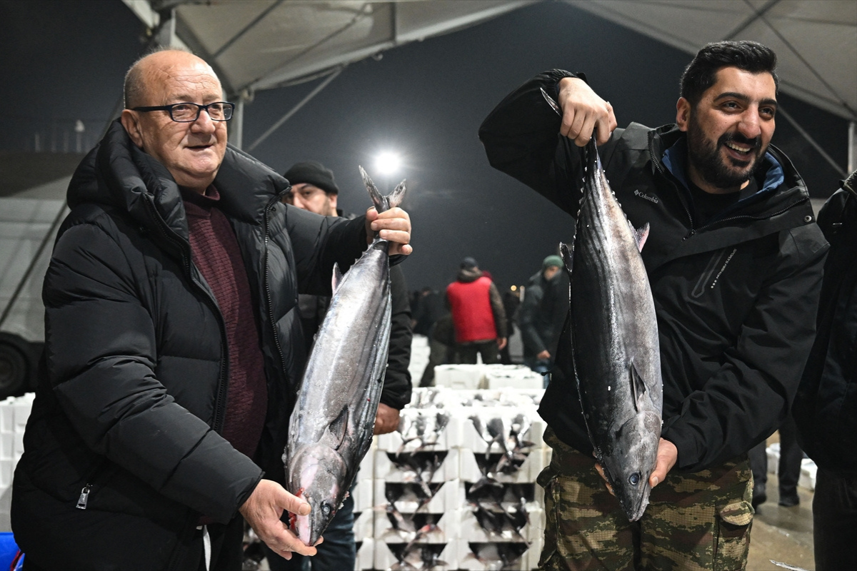 İstanbul'da uzun yıllar sonra 'torik' bolluğu yaşanıyor