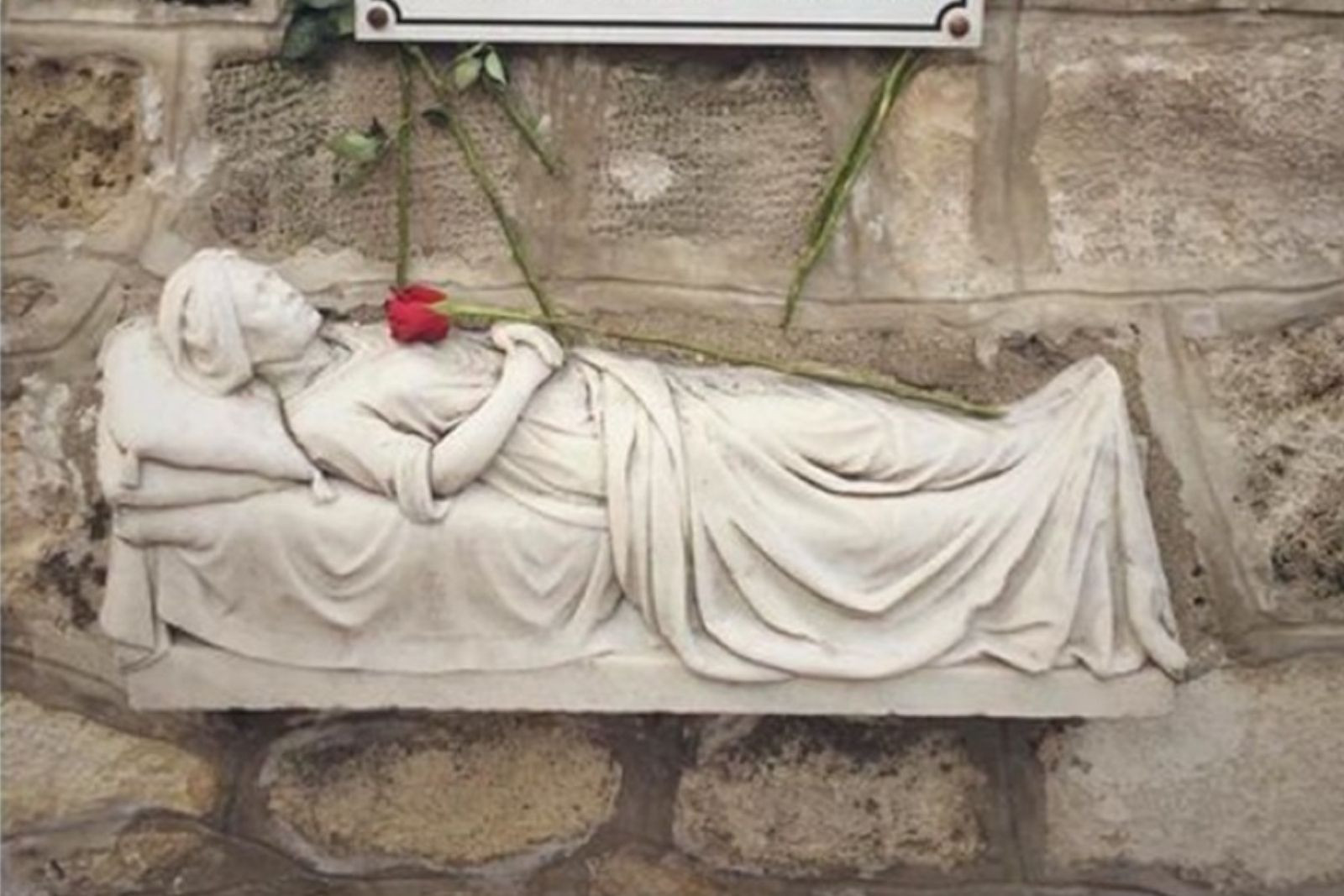 Hollanda Konsolosluğu’ndaki Beyaz Gül'ün 300 yıllık İstanbul bekleyişi