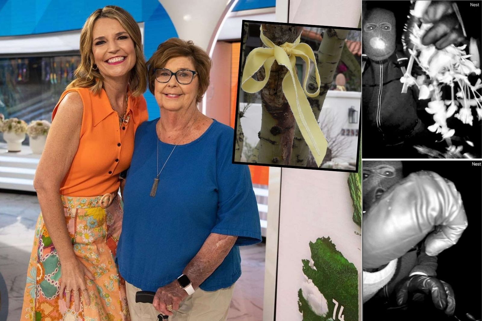 Ünlü sunucu Savannah Guthrie'nin annesi Nancy Guthrie'nin kaçırılmasında DNA gelişmesi