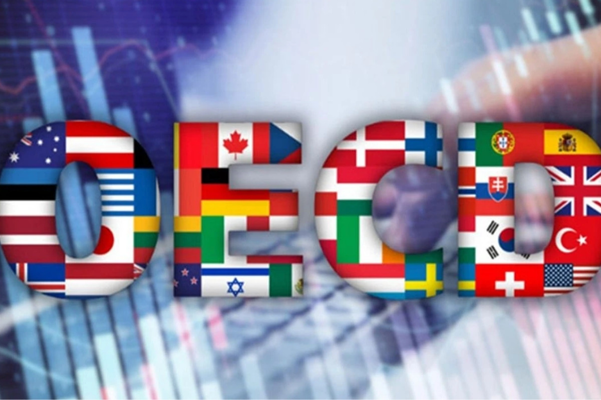 Türkiye, kamu borç yönetimi ve altın rezervlerindeki artışla OECD ülkeleri arasında pozitif ayrışıyor