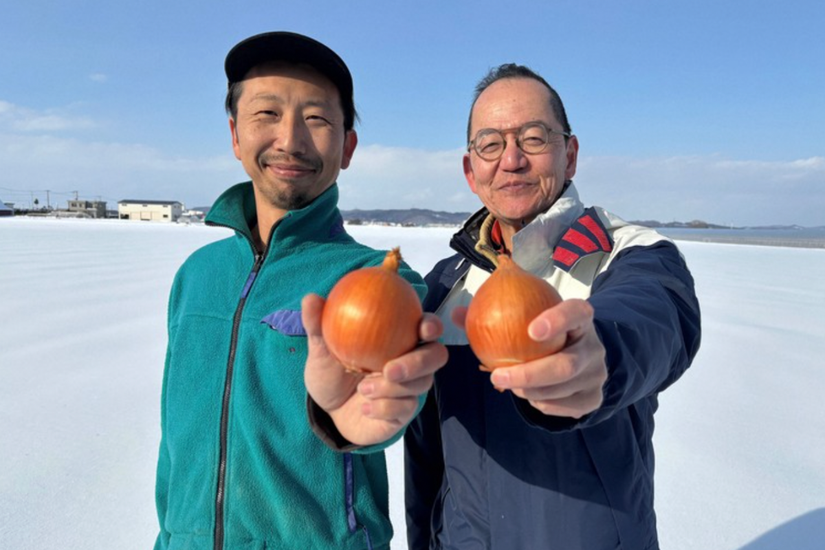 Japonlar 'ağlatmayan soğan' üretimini 2029'a kadar 5 kat artıracak