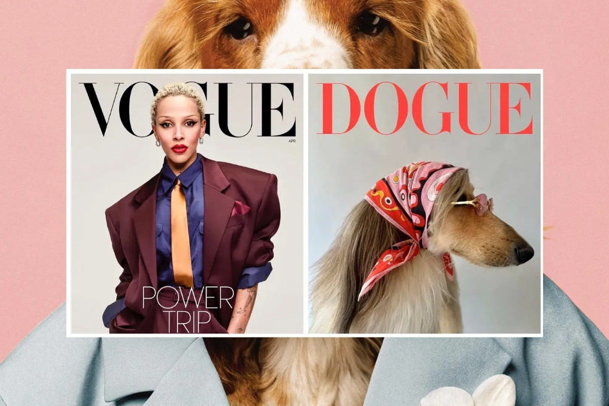 Vogue, köpek temalı Dogue dergisine dava açtı