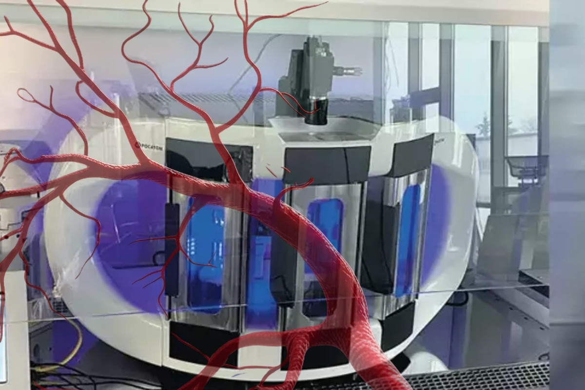 Rusya’da laboratuvarda üretilen yapay damar tavşana başarıyla nakledildi