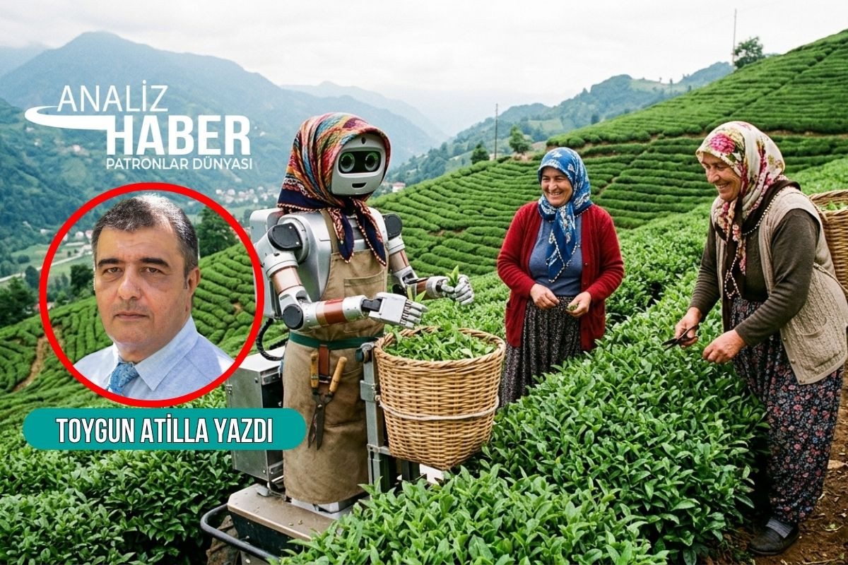 Rize'de robotlar çay topladığında ne olacak?