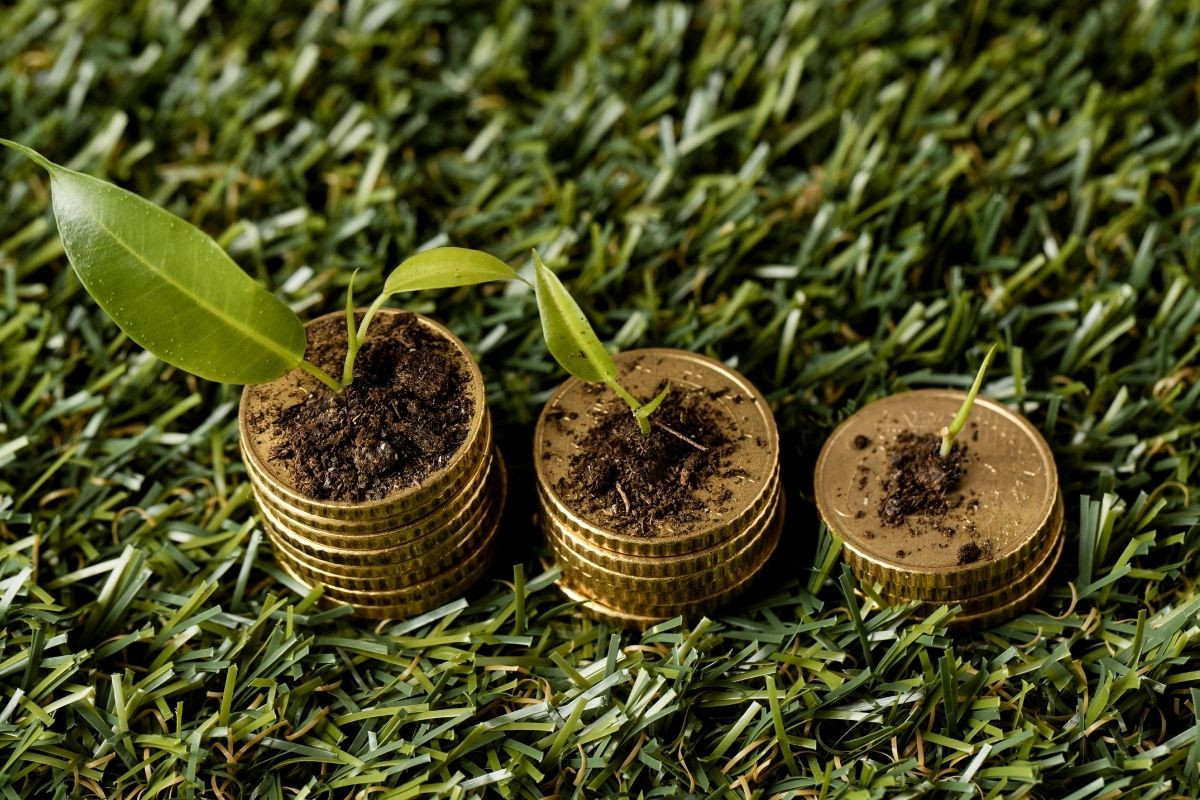 Yeşil dönüşüm için 31 ilde 3 milyar liralık faizsiz finansman desteği sağlanacak