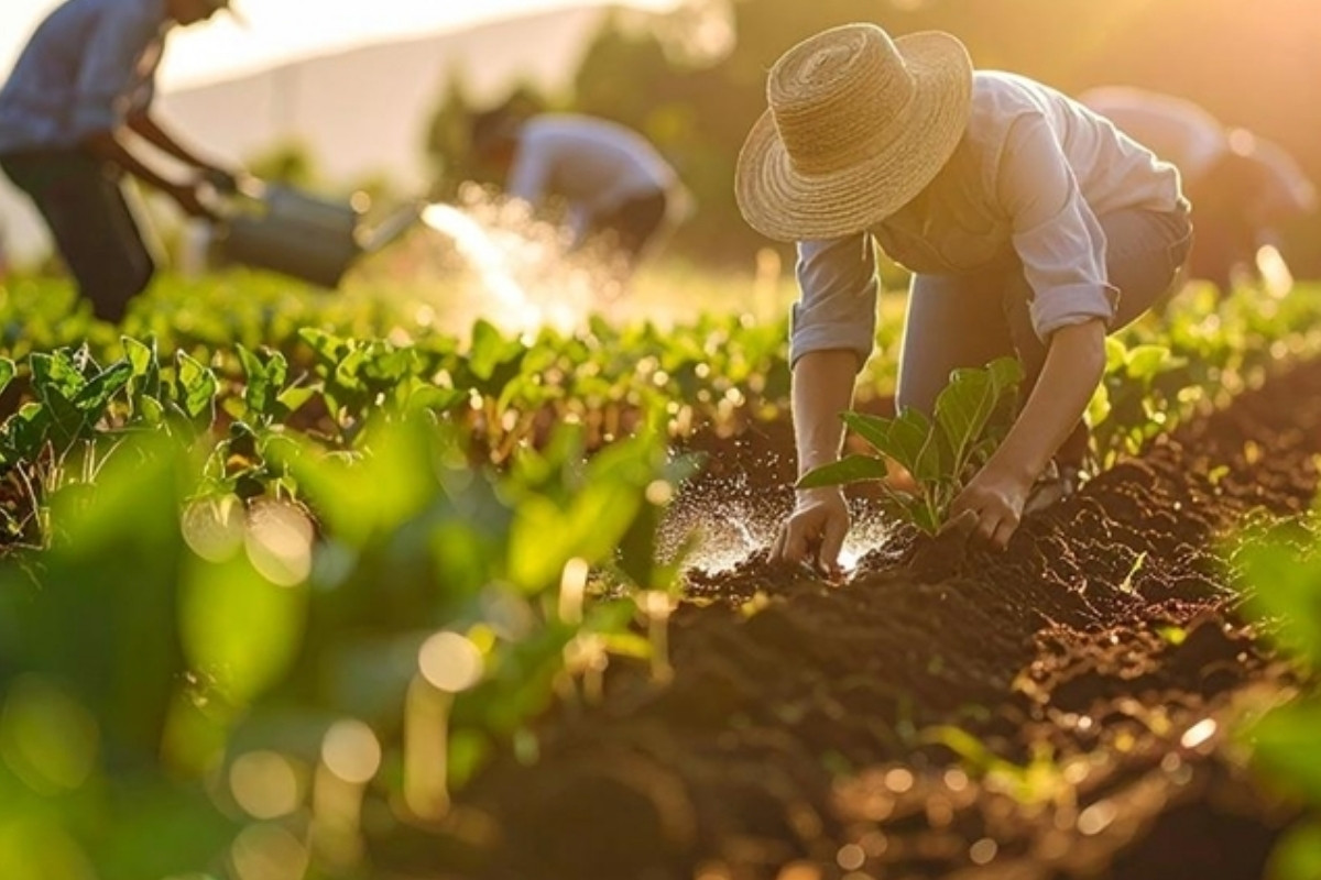 Tarım ve Orman Bakanlığı koordinasyonunda gübrelerin gümrük vergileri sıfırlanarak fiyat artışlarının önüne geçildi