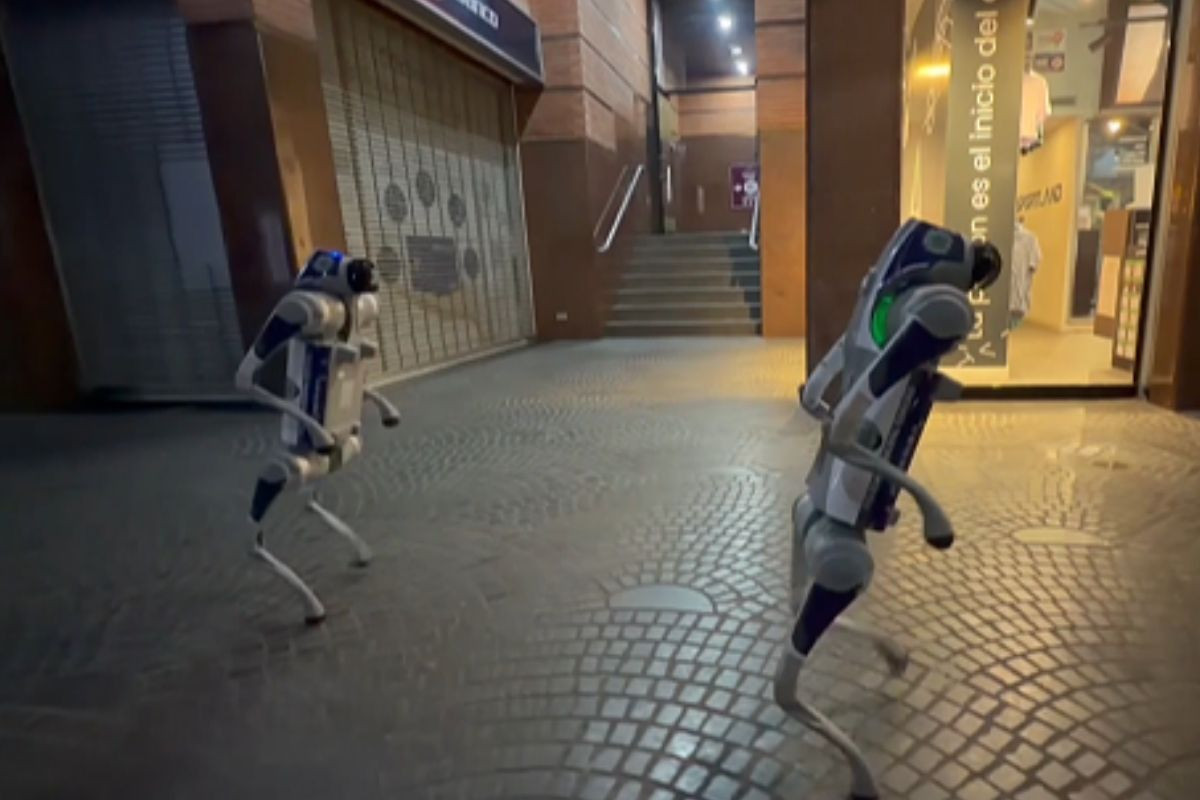 Caracas'ta devriye gezen robot köpekler spor yaptı