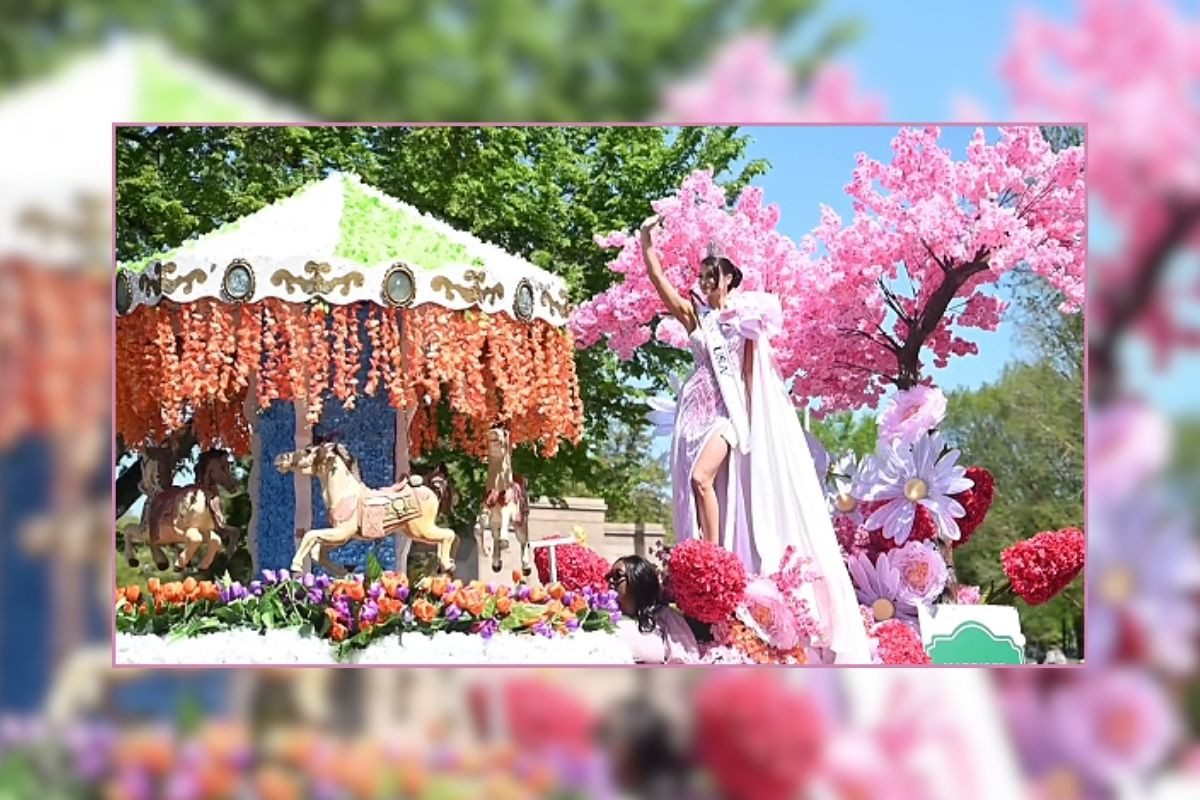 ABD’de renkli görüntülerle 'Kiraz Çiçeği Festivali'