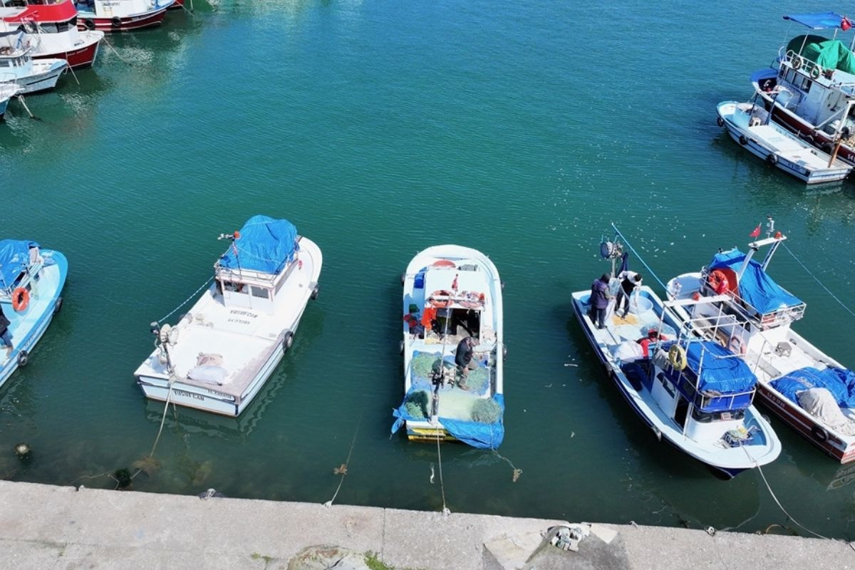 Karadeniz’de balıkçılar umduğunu bulamadı, sezon beklentinin altında kaldı