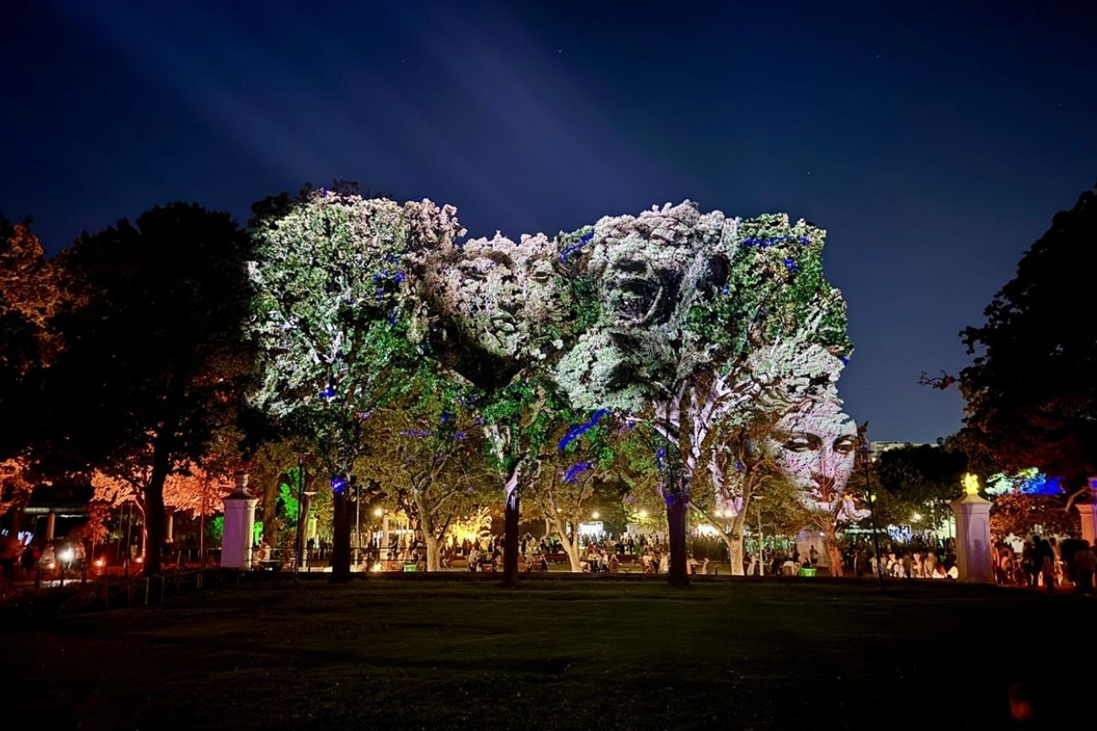 Cape Town'da Afrika'nın ilk büyük ölçekli ışık sanatı festivali