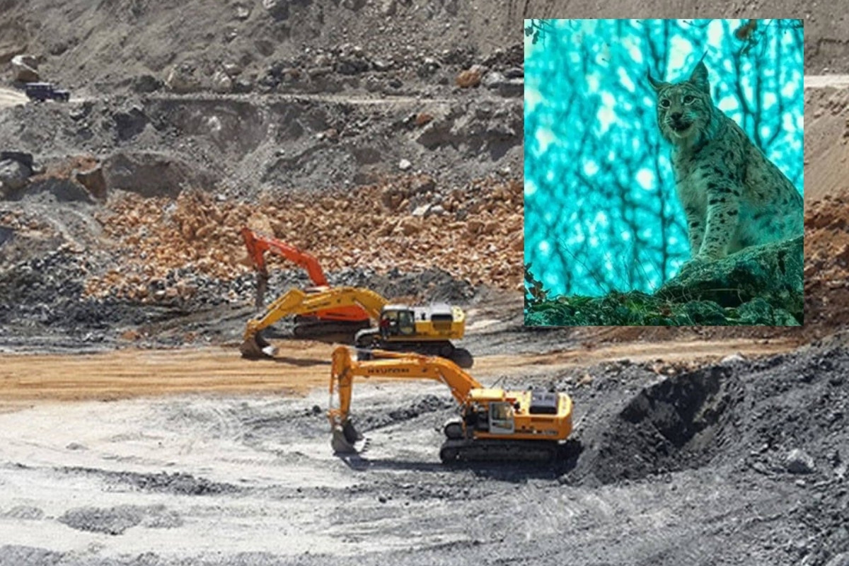 Tunceli Pülümür’de Hel Dağı’nda krom madeni projesi tepki çekiyor