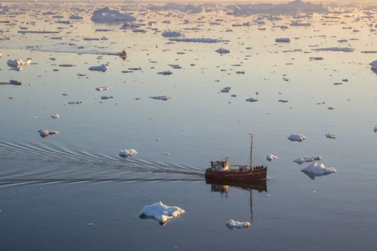 İklim değişikliği İstanbul kıyılarını baskı altına alıyor