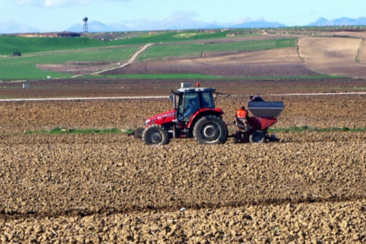 Tarımsal girdi fiyat endeksi şubatta yıllık bazda yüzde 31,55, aylık yüzde 3,1 arttı