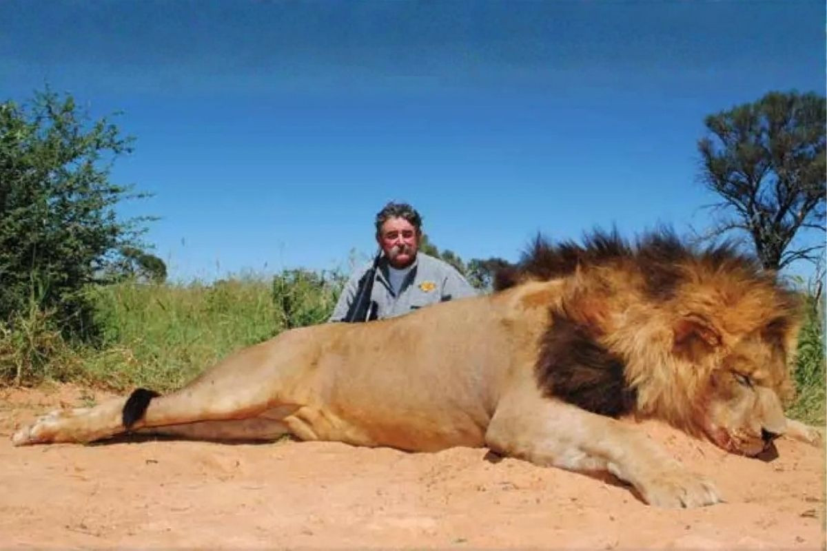 Şarap şirketi sahibi milyoner avcı Ernie Dosio, Afrika'da ceylan avı sırasında filler tarafından ezilerek öldürüldü