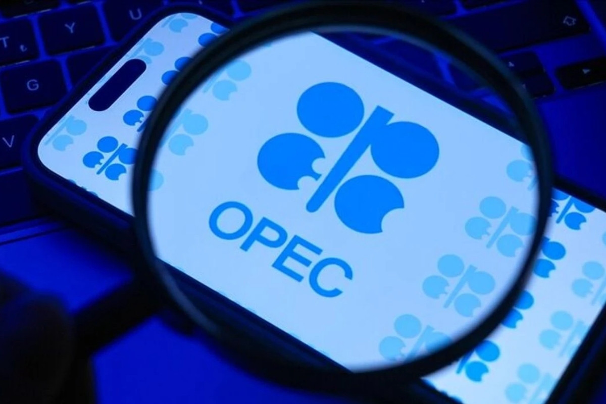 Birleşik Arap Emirlikleri'nin ayrılık kararı OPEC'te dengeleri değiştiriyor