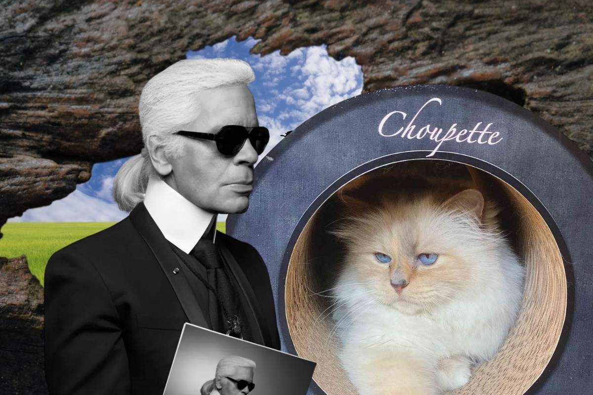 Karl Lagerfeld’in dünyaca ünlü kedisi Choupette, vaat edilen milyonlarca euroluk mirasa yıllardır ulaşamadı