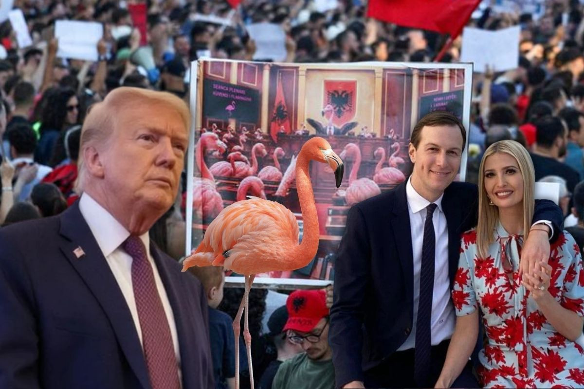 Flamingolar, ABD Başkanı Trump’ın damadı Jared Kushner’in Arnavutluk’ta yaptırdığı tatil köyüne karşı başlayan protestoların simgesi oldu