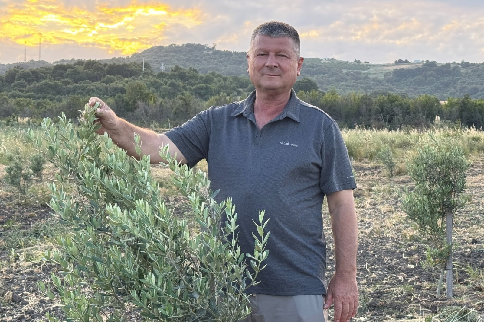 Zeytin ağaçlarıyla Balıkesir’in Gönen İlçesine bağlı Muratlar Köyü'nün çehresini değiştirdi