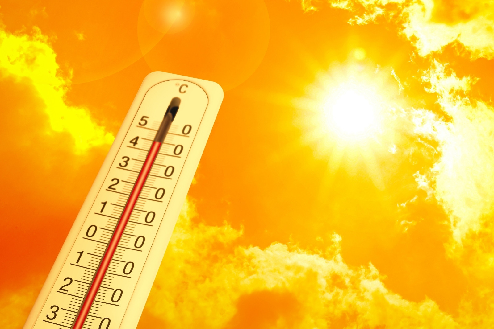Almanya’da termometreler 41.3 dereceyi gördü, klimalı otellere akın