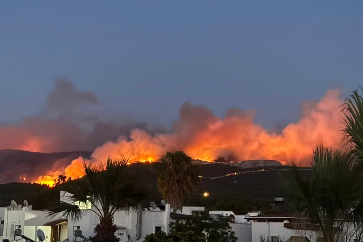 Muğla'nın 3 ilçesinde orman yangını çıktı