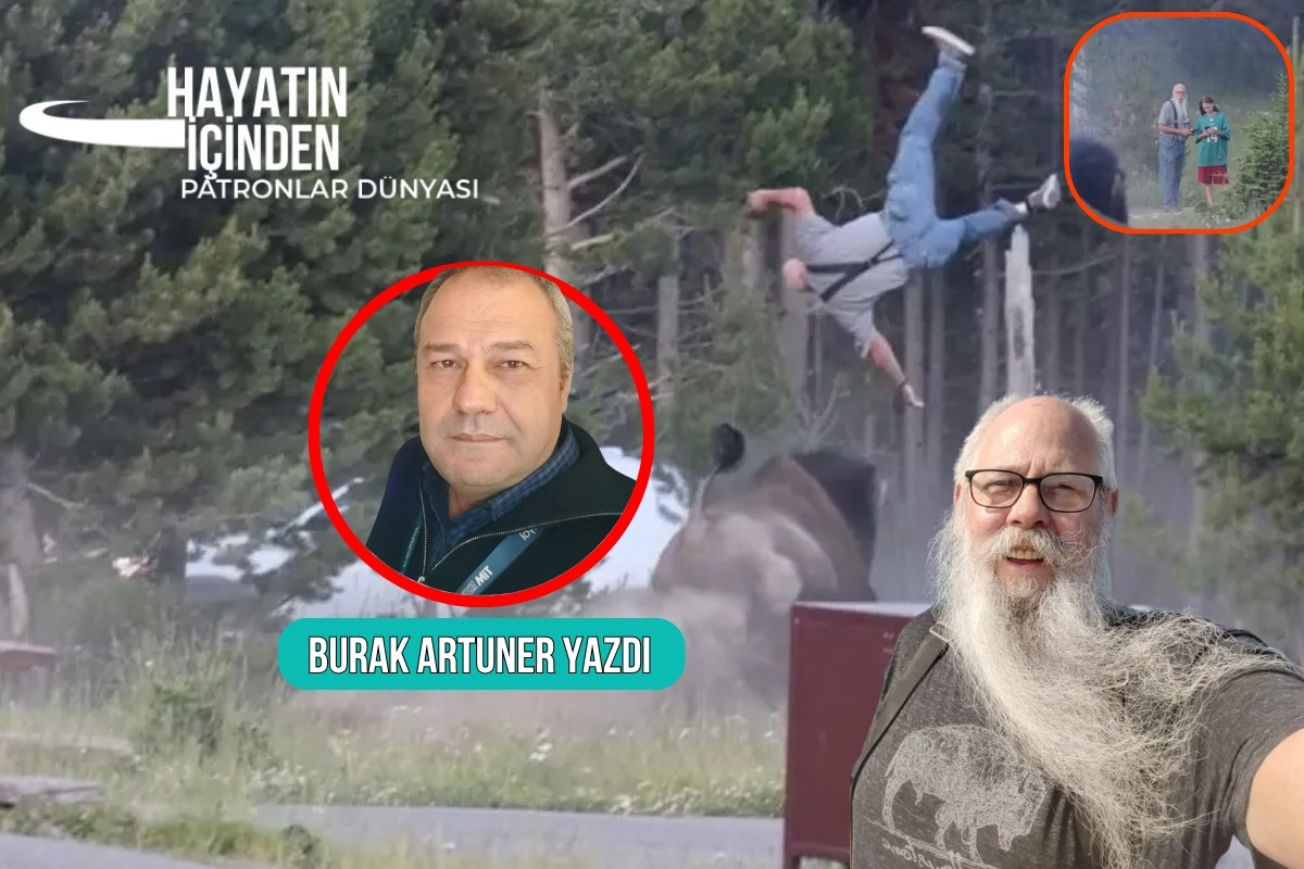 Bir milli parkta yaşlı bir adamı boynuzlarının gücüyle havaya fırlatan bir bizon ve sonrasında yaşananların insanlığa anlattıkları