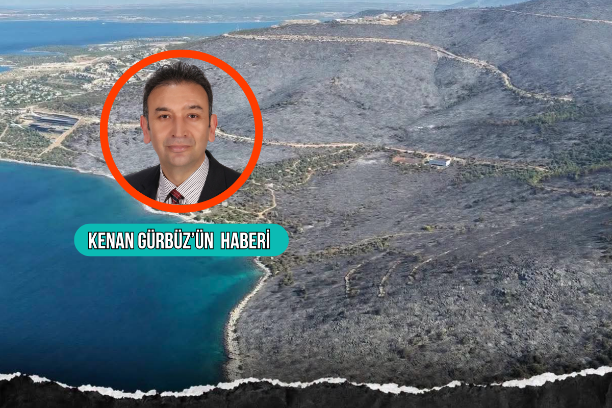 Muğla Valisi İdris Akbıyık, ünlü isimlerin de evlerinin hasar gördüğü son yangında yanan ormanlık alanla ilgili iddialara yanıt verdi