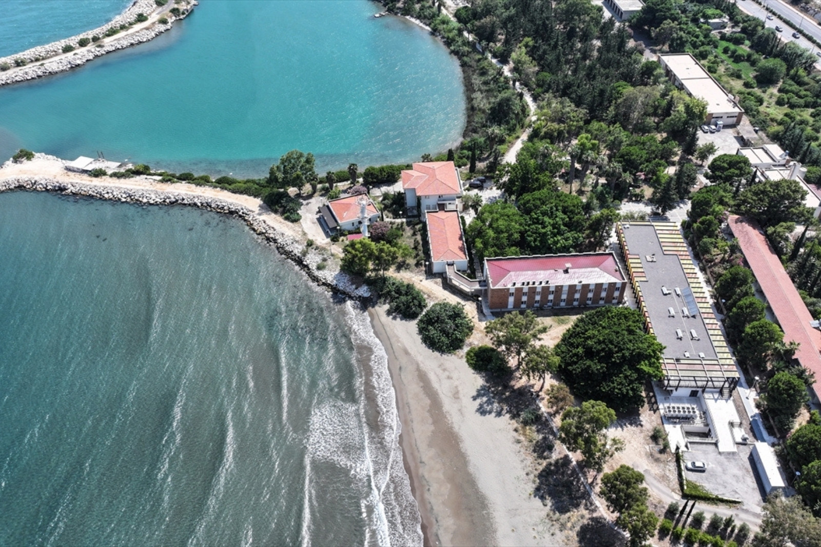 Mersin'in Erdemli ilçesindeki ODTÜ sahilinde kaplumbağa hassasiyeti