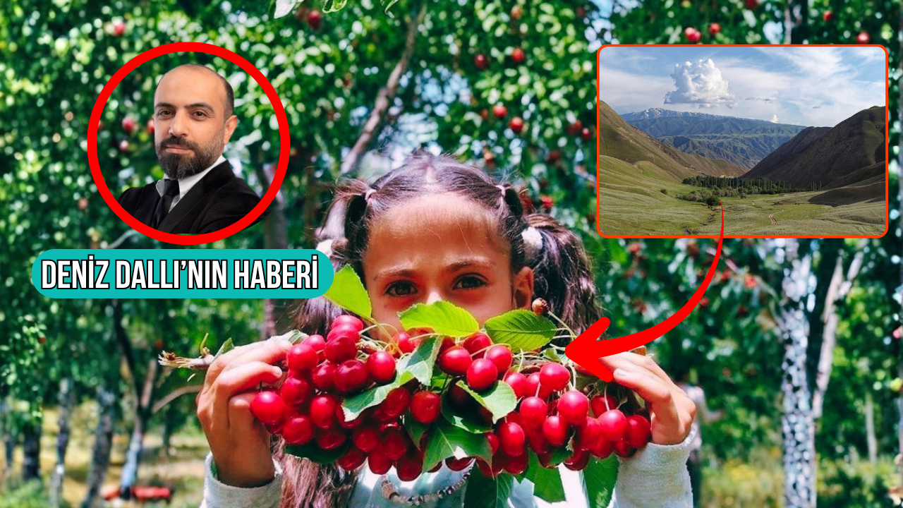 Özbekistan'ın Fergana Vadisi'nde ilk kez, Türkiye'den ihraç edilen şeftali, kiraz, kayısı ve eriğin hasadı yapıldı