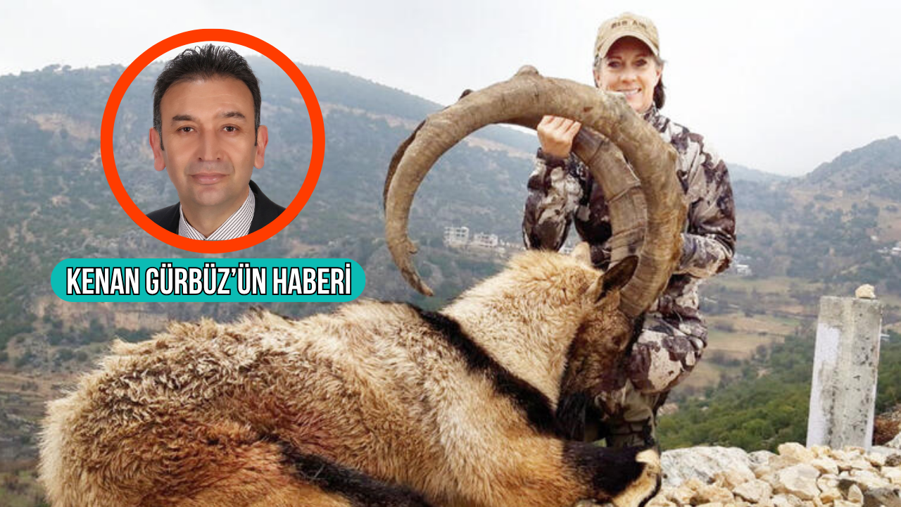 Muğla'da 2026-2027 av turizmi sezonu kapsamında yaban keçisi avlamak isteyenler, 750 bin ile 1,5 milyon lira arasında para ödeyecek