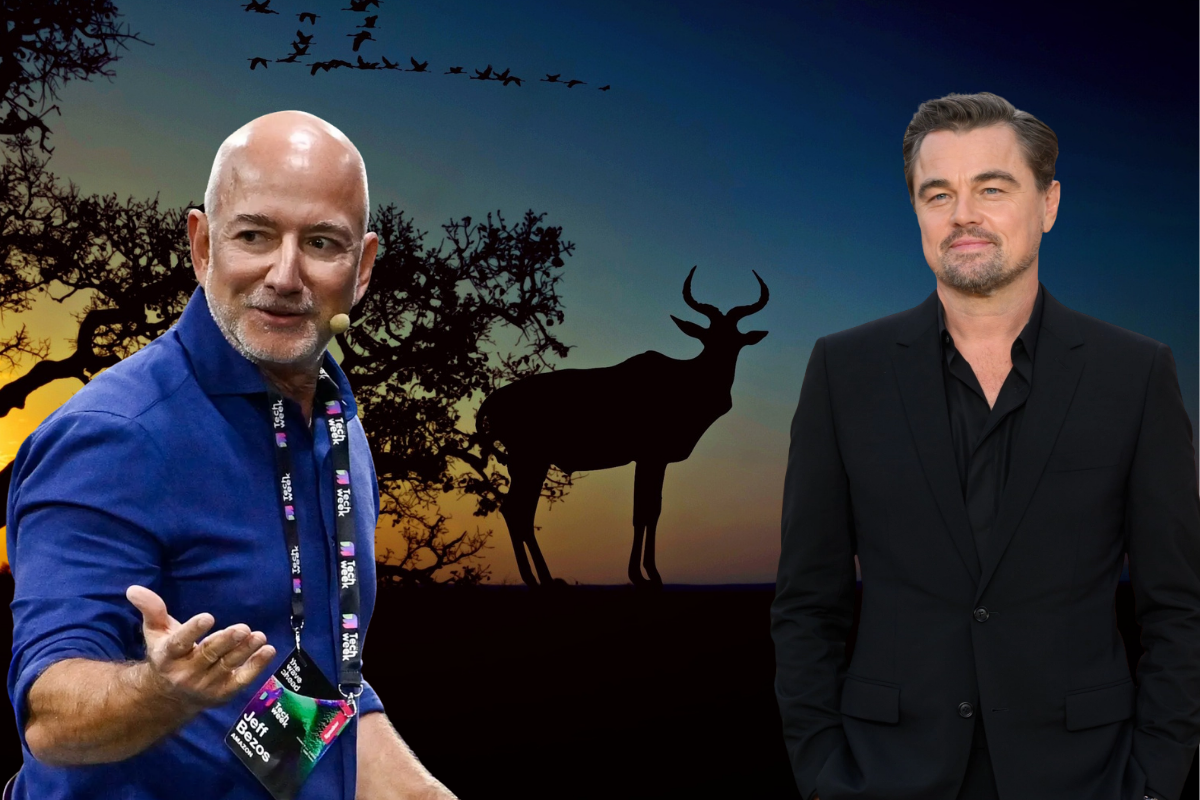 DiCaprio ve Bezos'tan doğaya 200 milyon dolarlık can suyu; hedef yok olmaya yüz tutan 100 türü kurtarmak