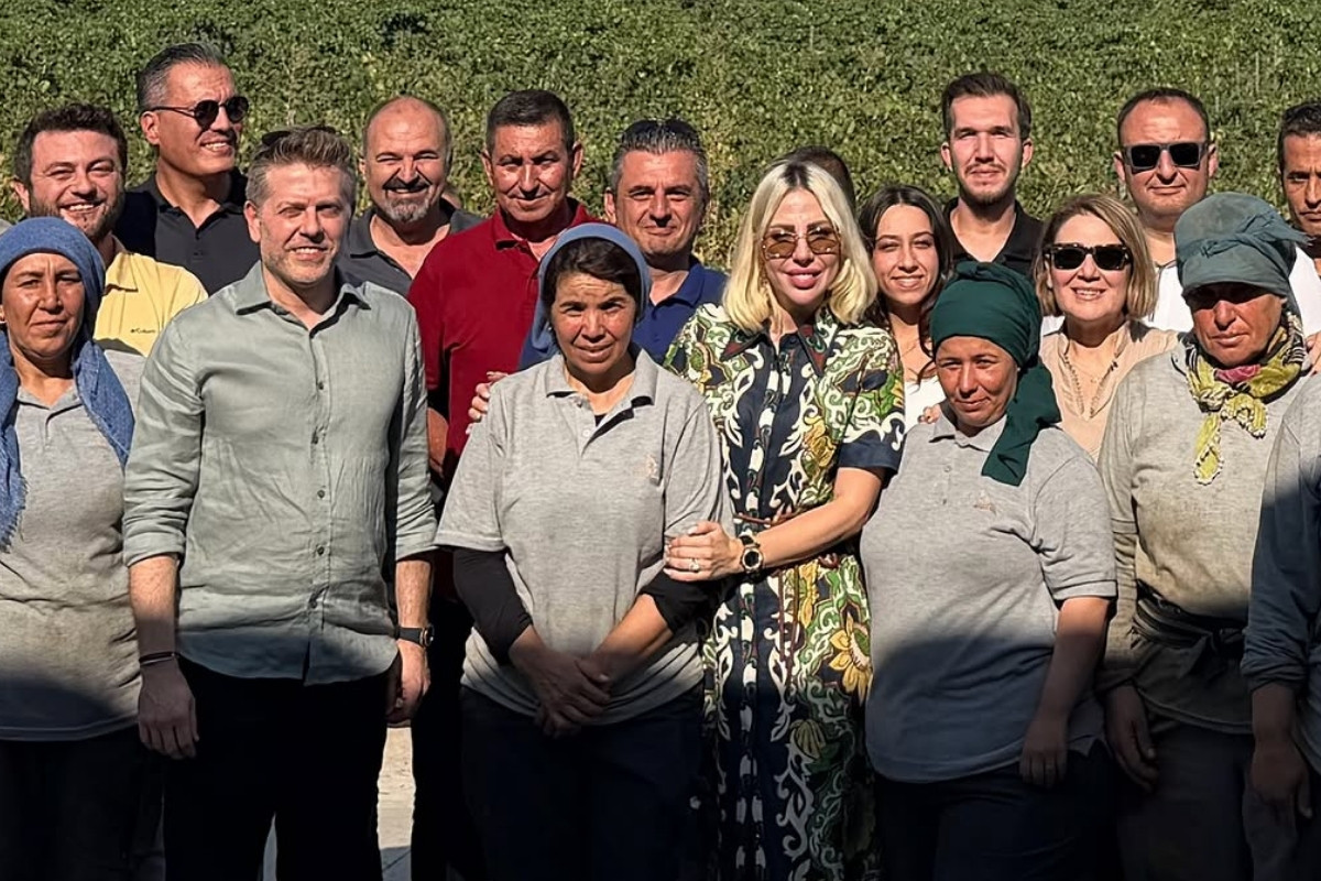Lucien Arkas Bağları’nda hasat başladı, Merve Arkas ilk hasat günlerinden fotoğrafları paylaştı