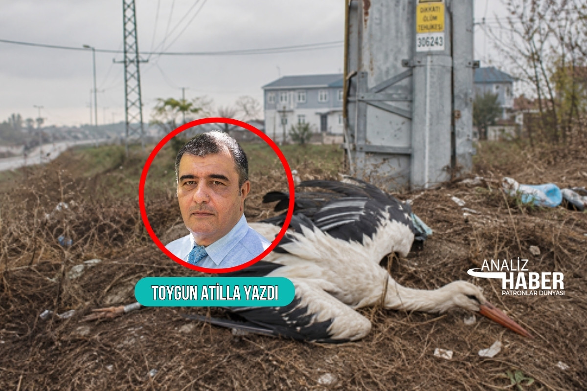 52 leyleğin ölümünden sonra harekete geçen TCDD’ye bir teşekkür ve bir soru