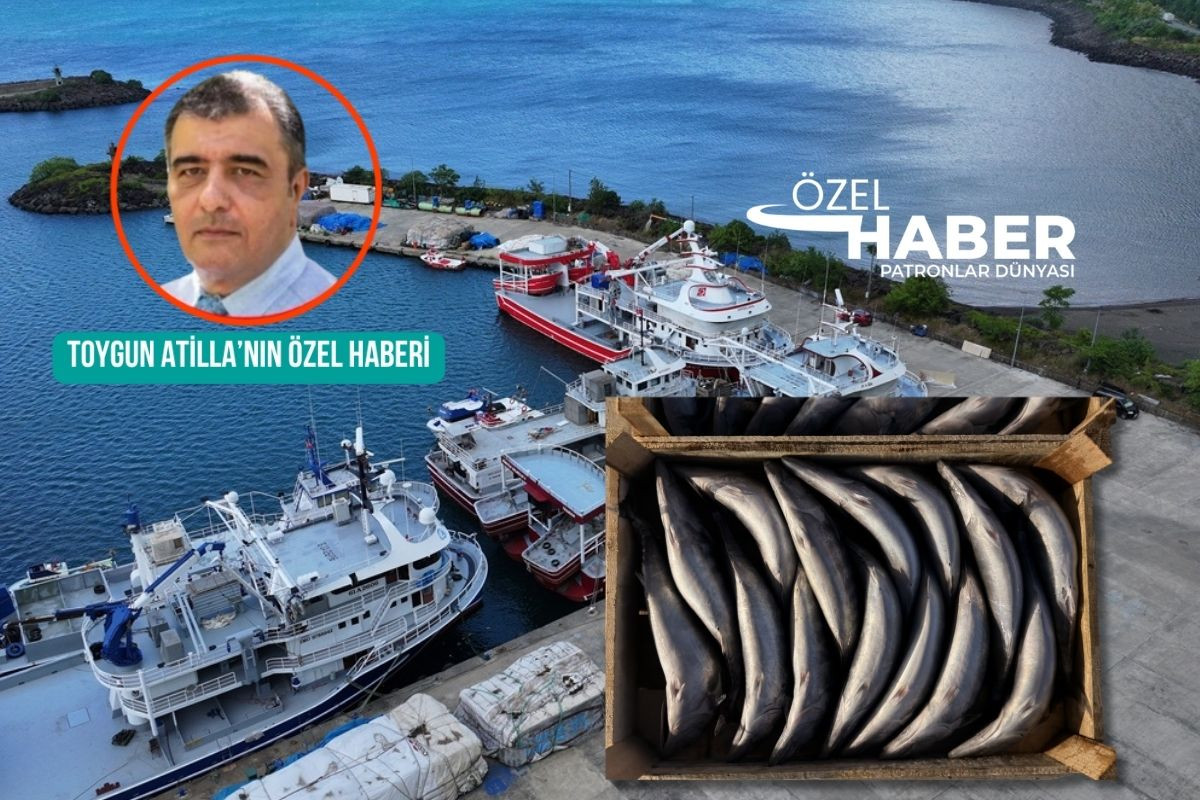 Ağlarda palamut, kasada milyar dolar, işte Türkiye’nin balık ekonomisi 