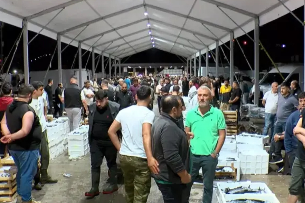 Balıkçılar denize açıldı, Gürpınar Balık Hali hareketlendi