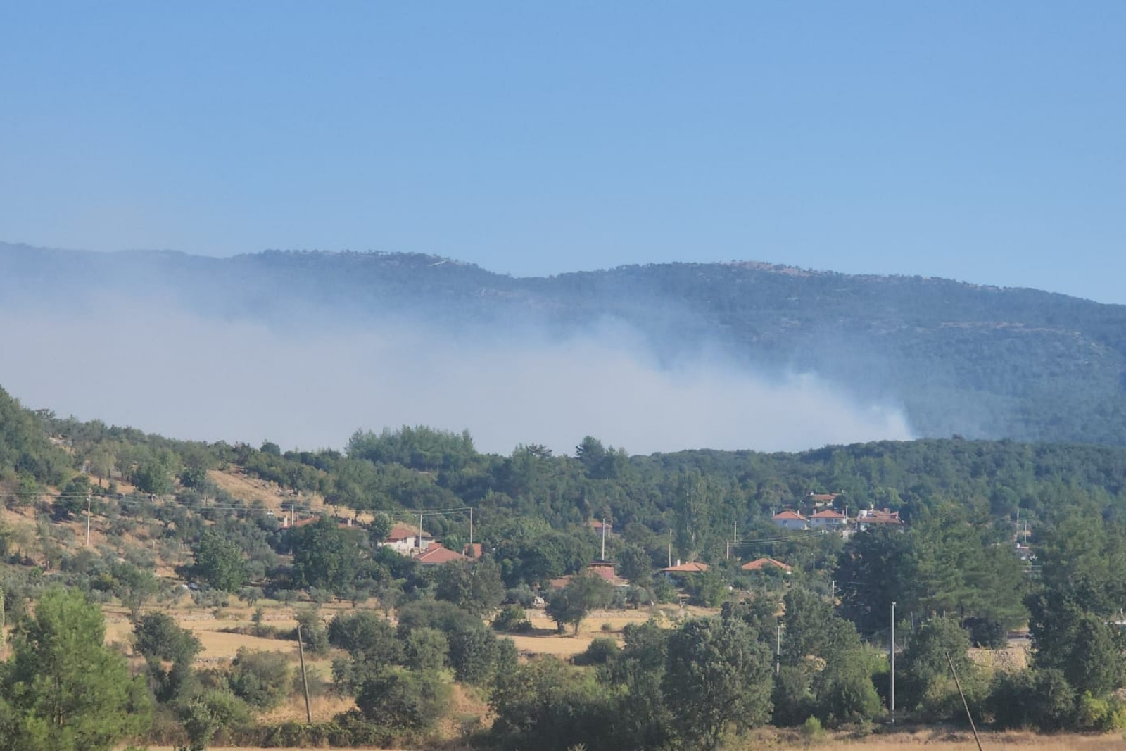 Muğla’da sabah saatlerinde başlayan orman yangını, şiddetli rüzgârın etkisiyle büyüdü ve yerleşim yerlerine ulaştı