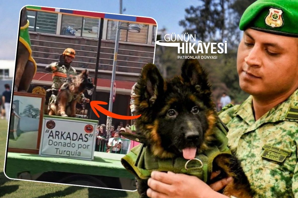 Türkiye’nin 6 Şubat depreminde ölen Meksikalı kurtarma köpeği Proteo’ya vefa borcu için Meksika’ya gönderdiği Arkadaş geçit töreninde