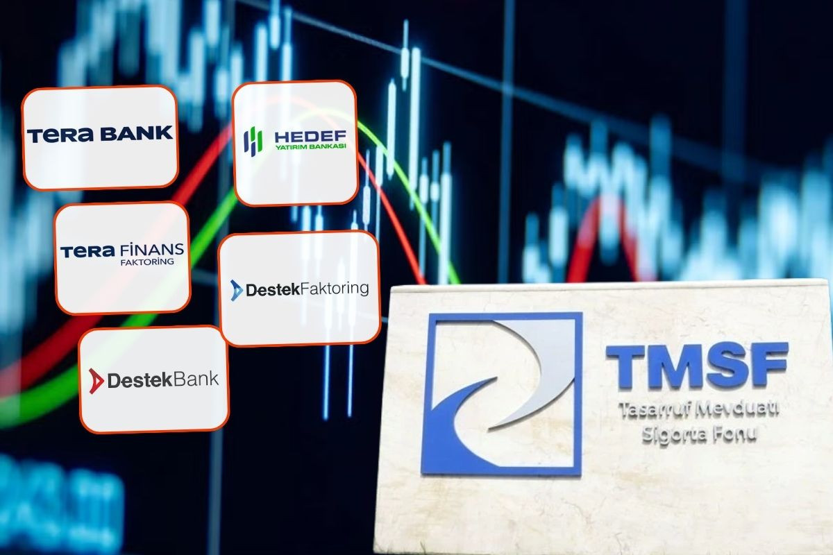 Tera, Destek, Hedef yatırım bankaları ile Tera ve Destek finans TMSF'ye devredildi